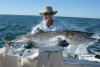 Exmouth Spanish Mackeral